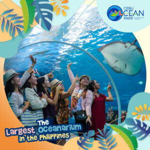 Read more about the article Discover the Wonders of Cebu Ocean Park: Where Marvels of the Deep Await