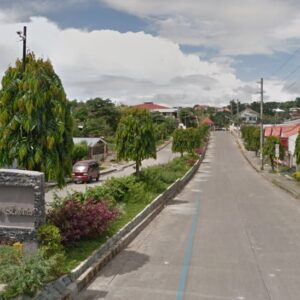 Royale Cebu Estates Subdivision in Consolacion Cebu