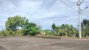 Read more about the article 331 sqm Residential lot for sale in Casili Consolacion Cebu